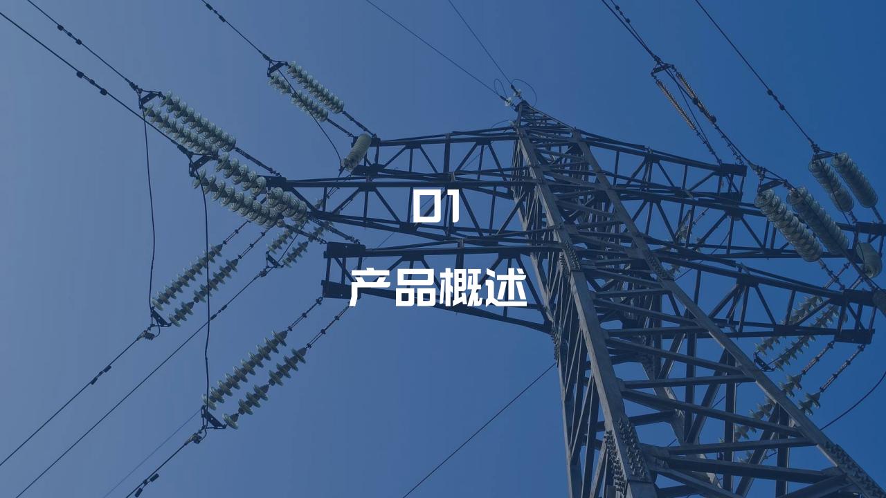 智能绝缘检测装置介绍(2)_03.jpg
